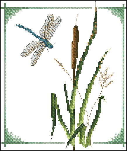 CMP PCE552 Bull Rush And Dragonfly