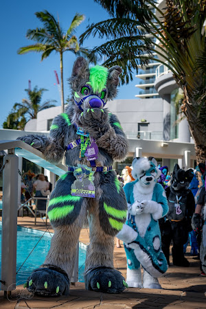 furdu-03907.jpg