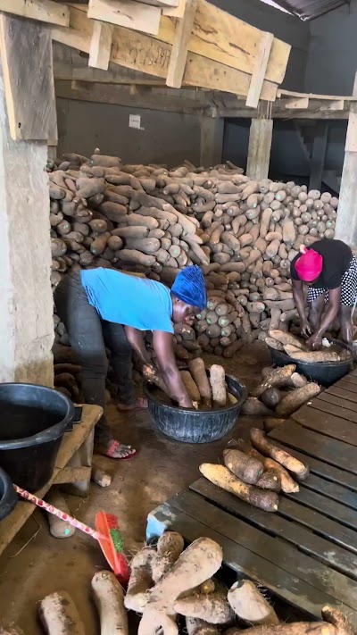 Yam washing