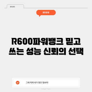 R600파워뱅크, 파워뱅크 성능, 전문가 리뷰, 초보자 가이드, 휴대용 충전기