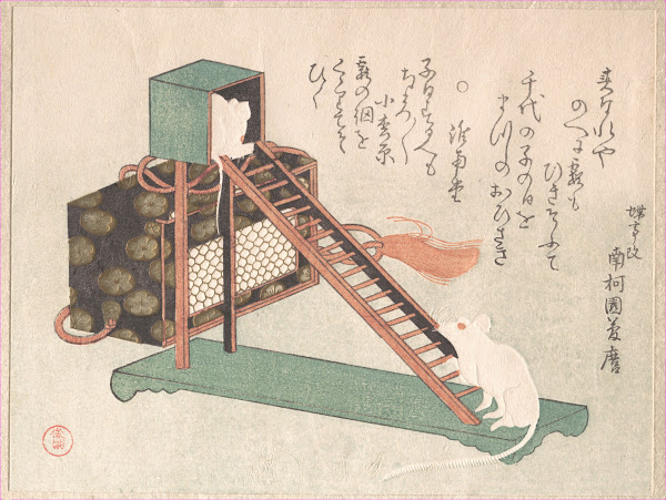 White Mice Playing 1816