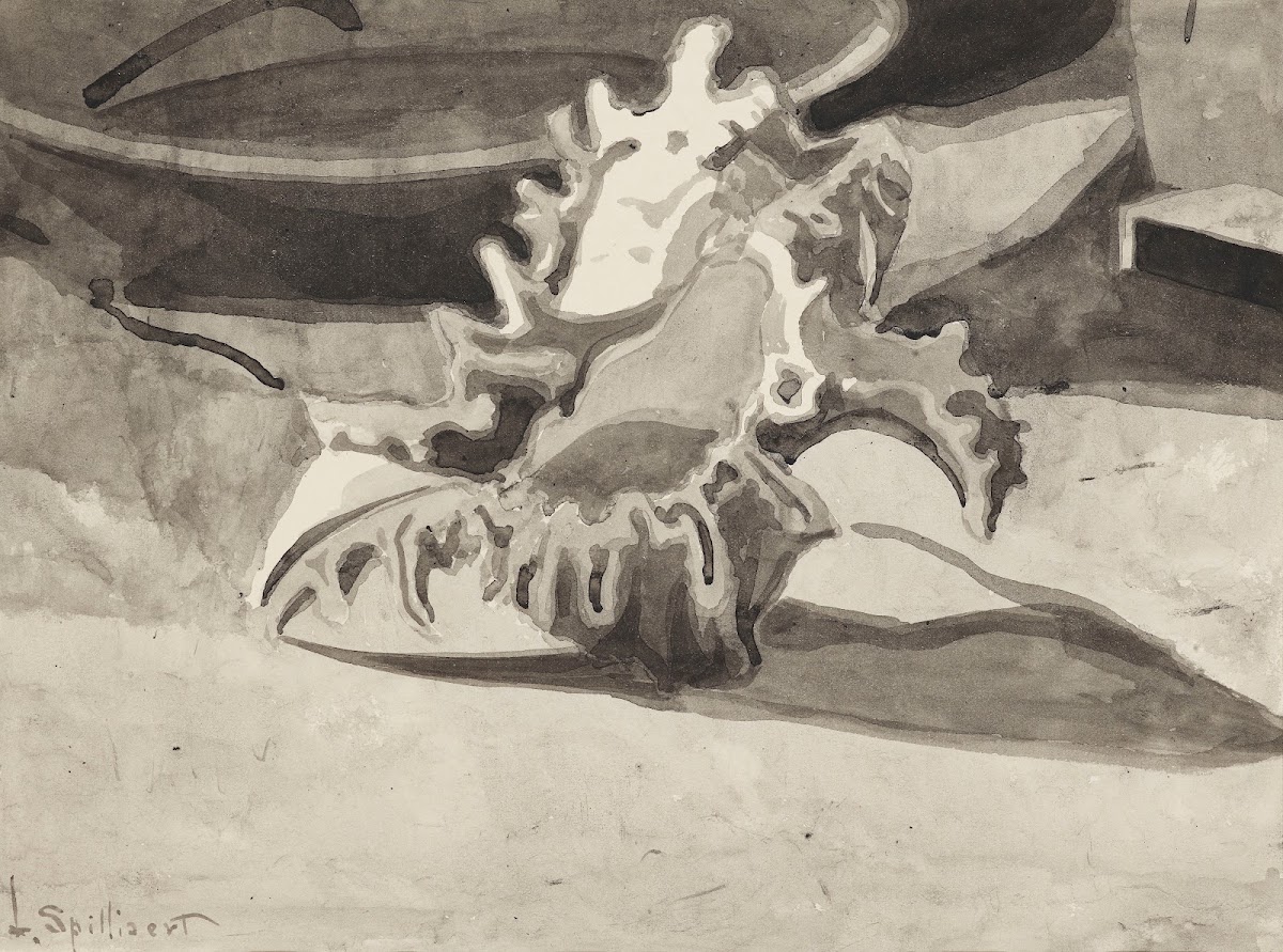 Coquillage 1909