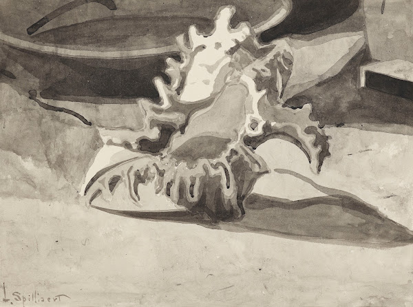 Coquillage 1909