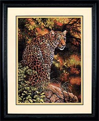 DIM35209 Leopards Gaze