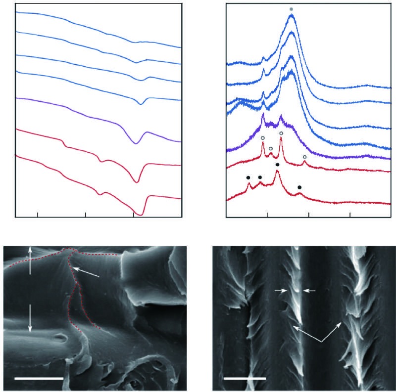 Polyetherketoneketone/carbon fiber composites with an amorphous interface prepared by solution impregnation