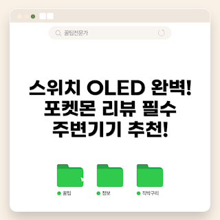 닌텐도 스위치, 포켓몬스터 스칼렛, 게임 주변기기, 게이머 추천, 초보자 가이드