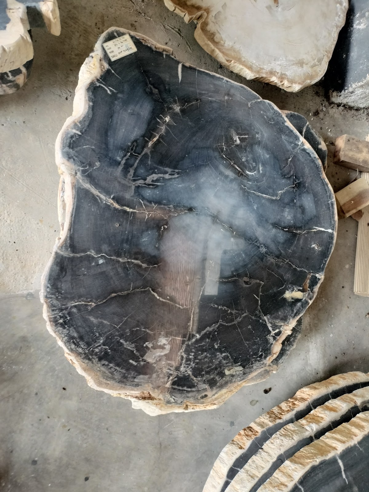 ROUND COFFEE TABLE — SKU CFTP.2269.23 | Petrified Wood by PJ Antique Bali