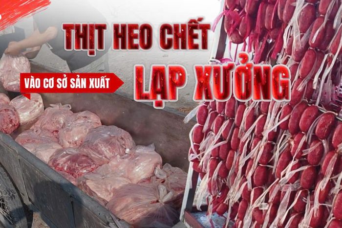 Điều tra: Thịt bẩn luồn lách đến bữa ăn - Kỳ 3: Từ bãi đất trống đến lò lạp xưởng - Báo Pháp Luật TP.HCM