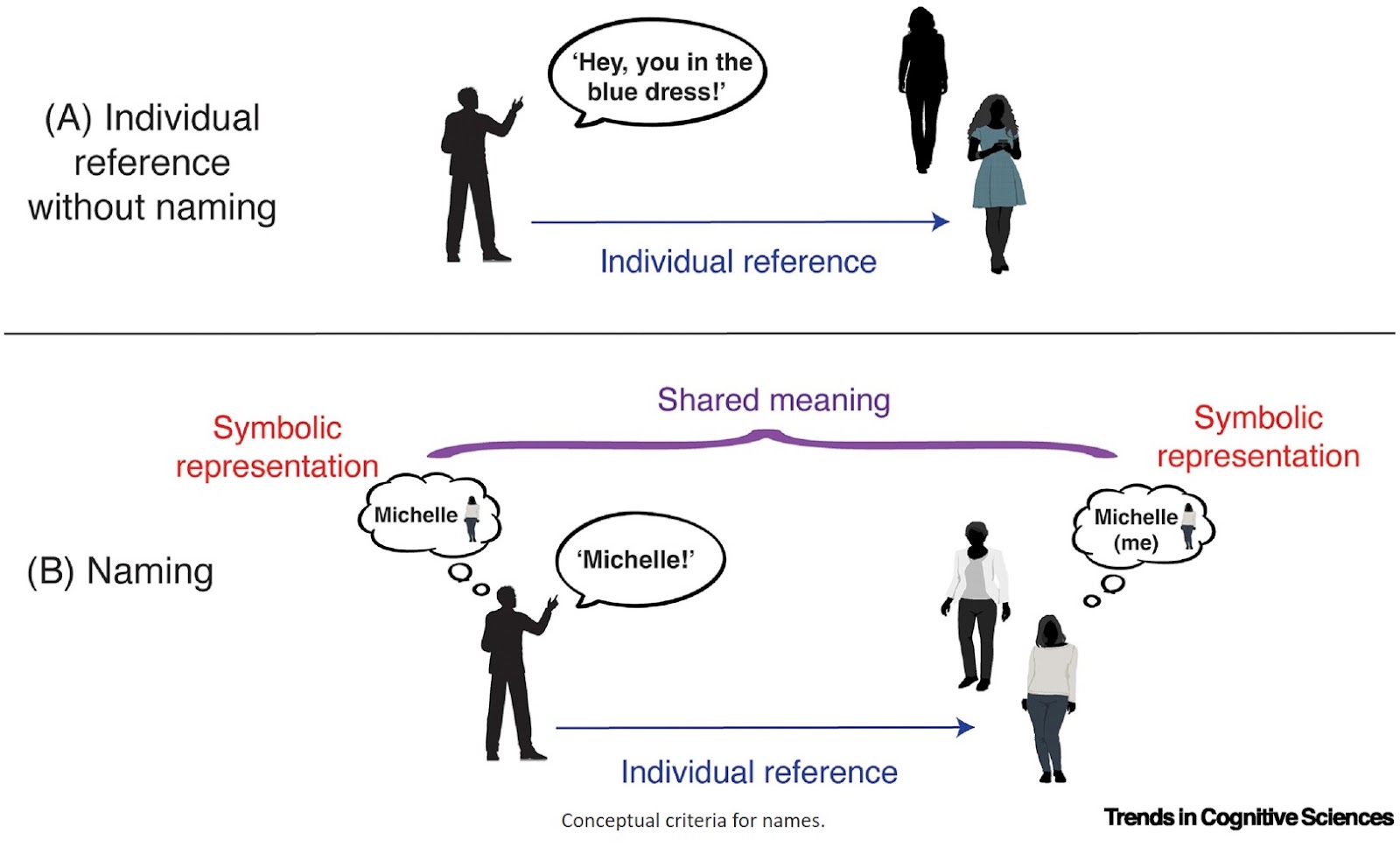 Do animals use names? Conceptual and empirical criteria