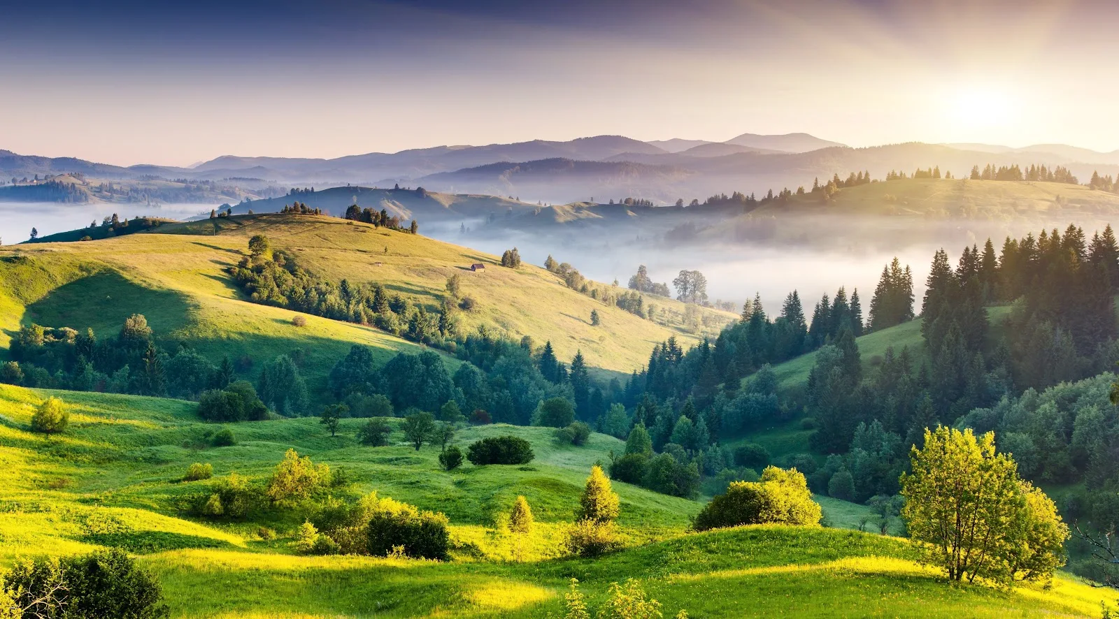 Nature, Hills, Trees, Mist, Landscape 5K Desktop, iPhone Wallpaper Background