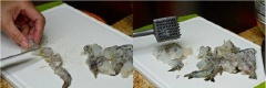 Nghiền nát gừng, giữ lại cả phần nước gừng. Cắt tôm thành khúc nhỏ, dùng búa đập nát.