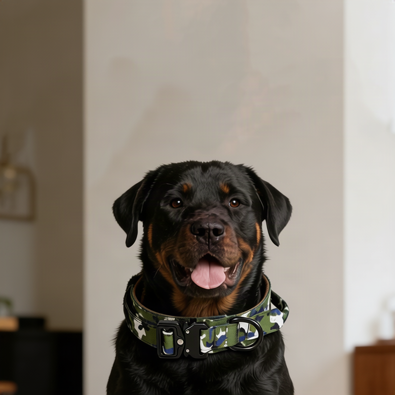 Taktisches Hundehalsband mit Griff