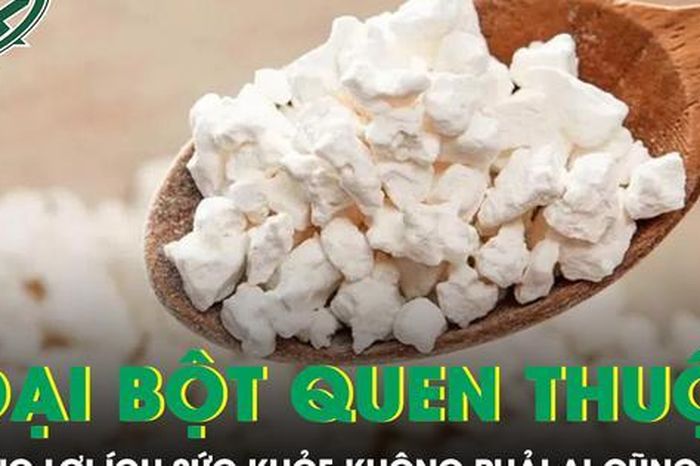 Loại bột quen thuộc trong căn bếp Việt và những lợi ích sức khỏe không phải ai cũng biết - Báo Sức Khỏe &amp; Đời Sống