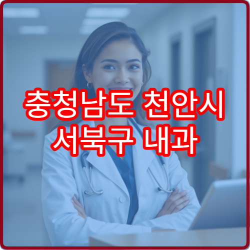충청남도 천안시 서북구 내과 설날 연휴 문 여는 병원 휴무 정보 정리