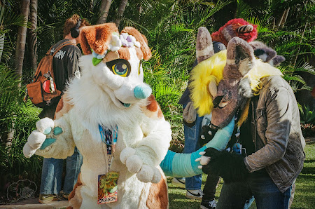 furdu-12-2.jpg