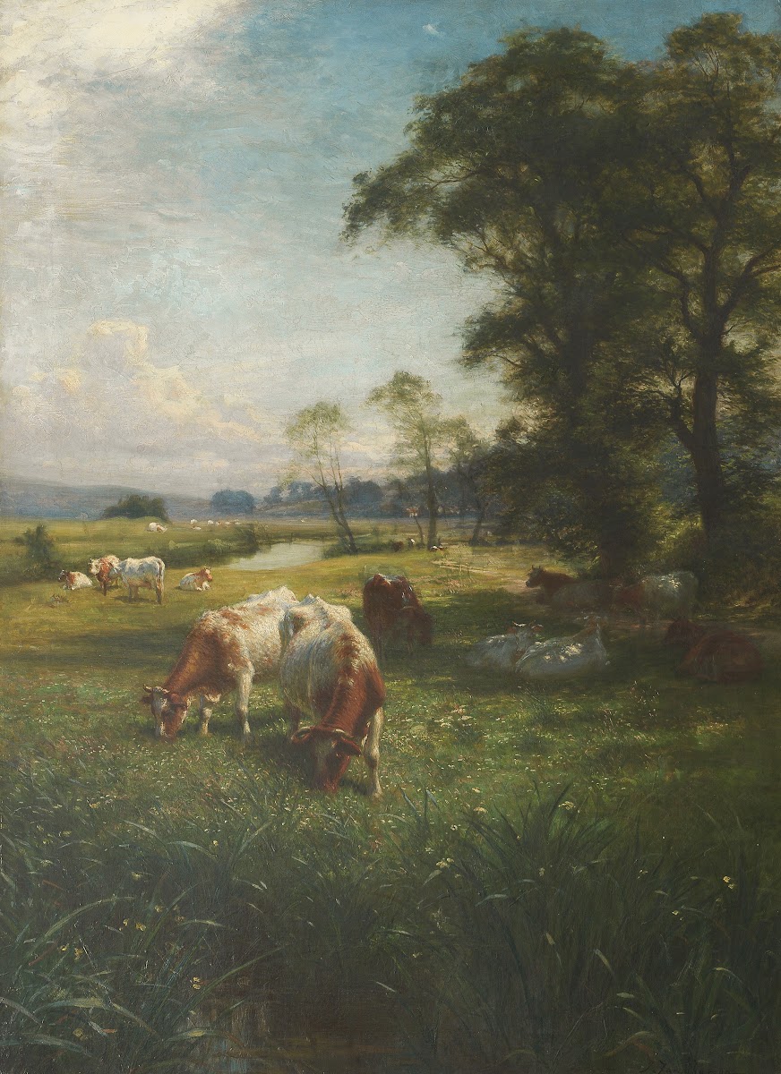Cattle Grazing