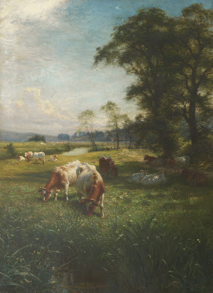 Cattle Grazing