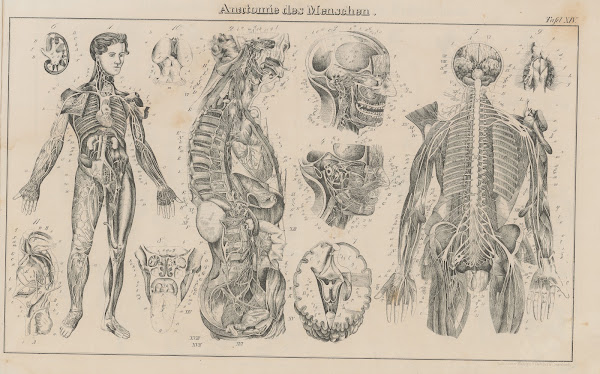 Atlas der Abbildungen Pierers Universal Lexikon Pl23 1848