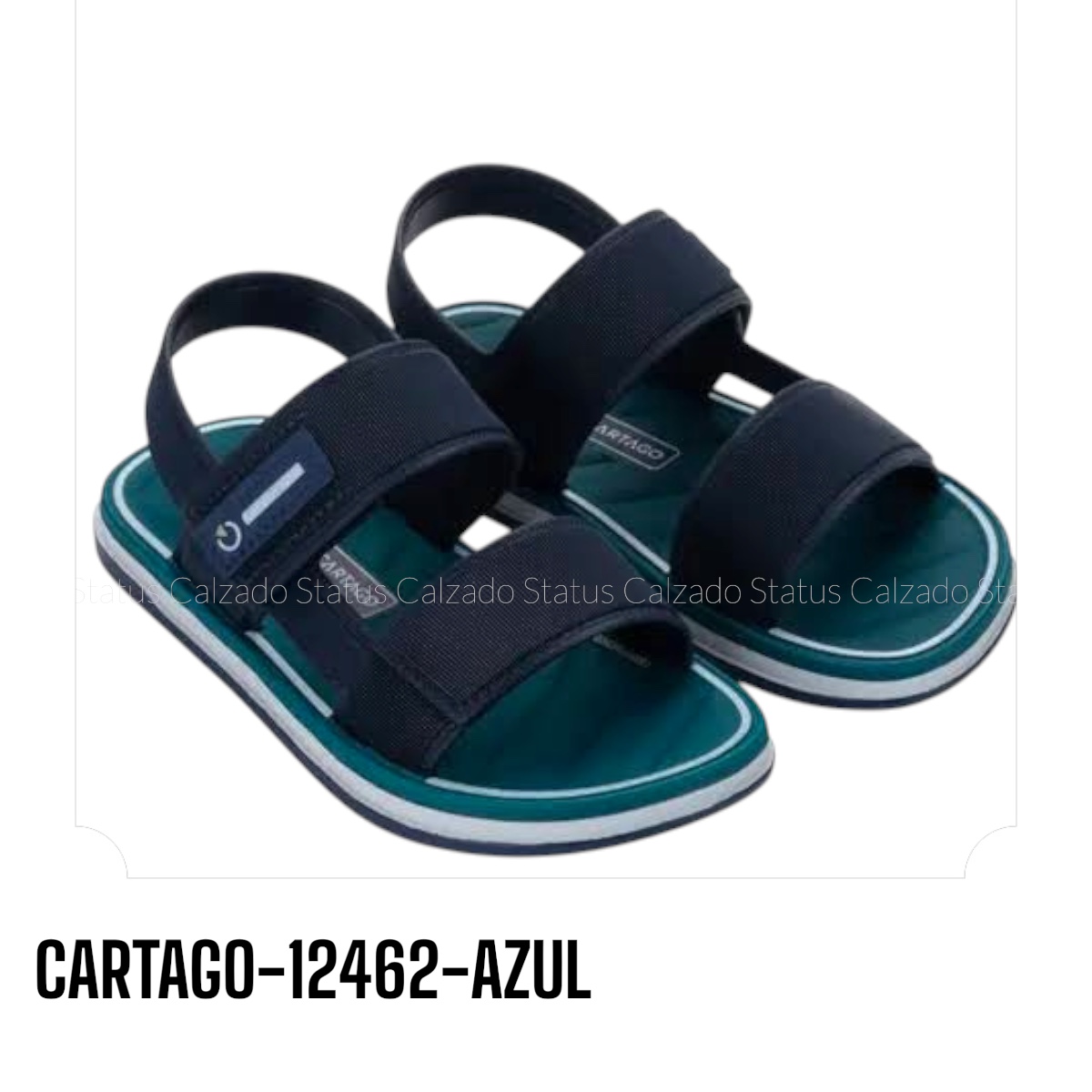 CARTAGO-12462-AZUL