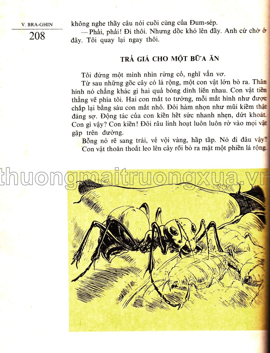 Ở xứ cỏ rậm (1988) - Trang 33