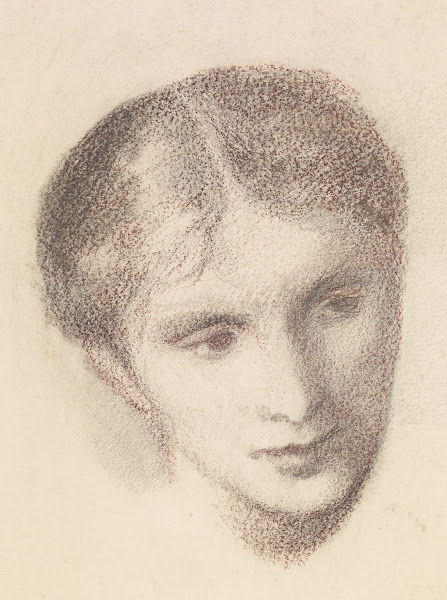 Female  Head Study of a Woman
