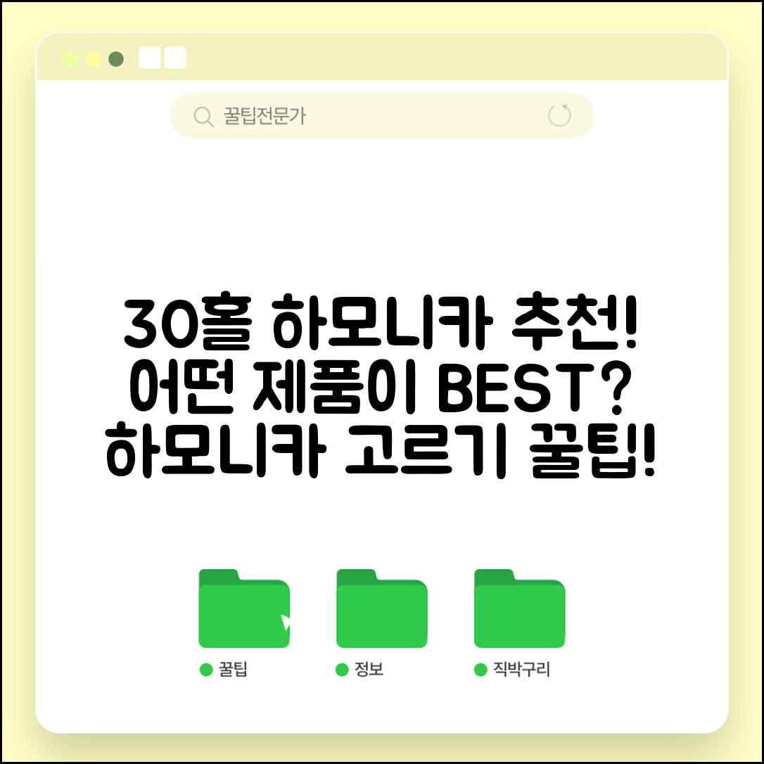 30홀하모니카, 어떤 제품이 좋을까요?