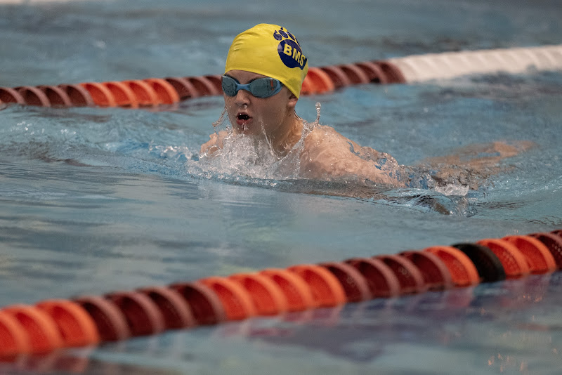 Photo from MS: Swim & Dive