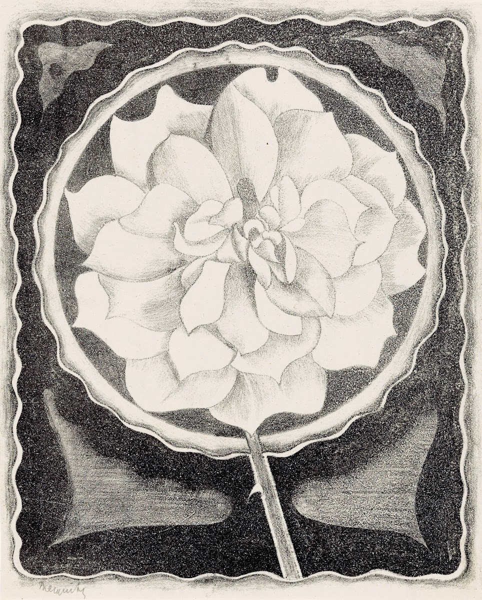 Roos 1920