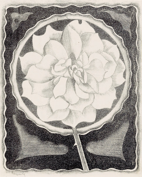 Roos 1920