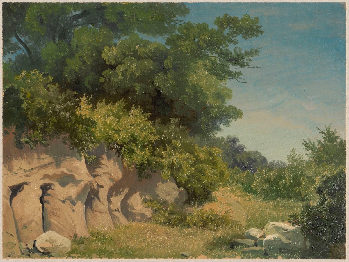 Cliff overgrown with trees 1859   1879