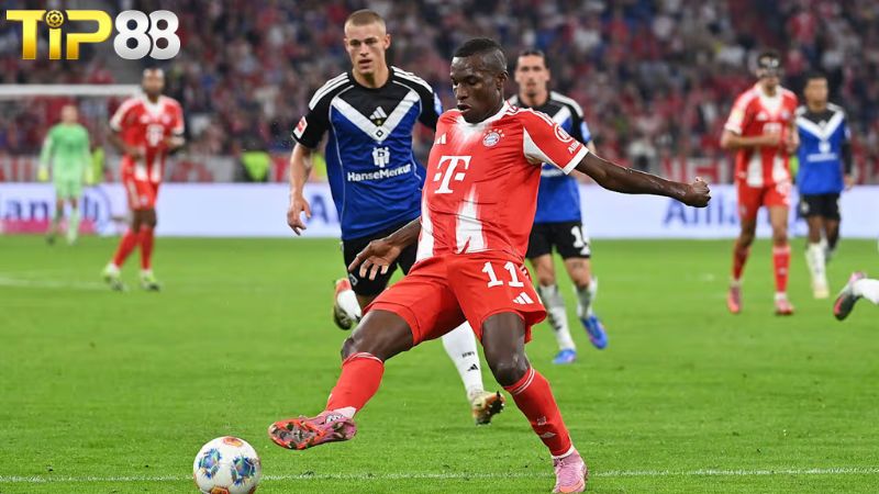Lịch sử đối đầu giữa Hamburg vs Bayern Munich