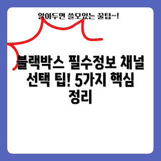블랙박스1채널, 차량 안전, 2023 블랙박스, 블랙박스 구매 가이드, 최신 블랙박스 기능