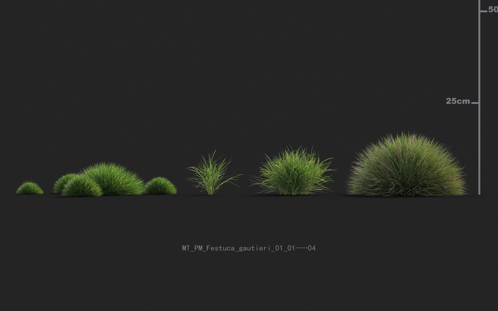 Maxtree - Plant Models Vol.20