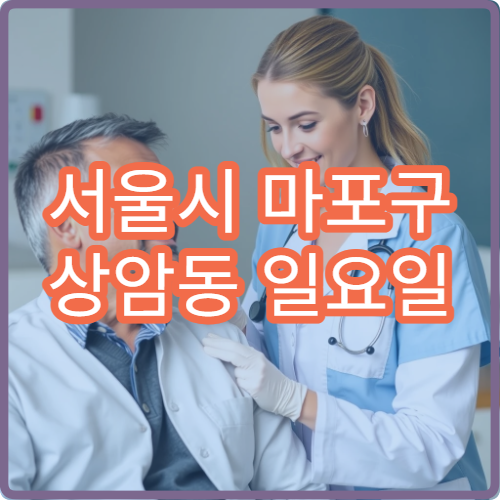 서울시 마포구 상암동 일요일 내과 장염 설사 진료 병원