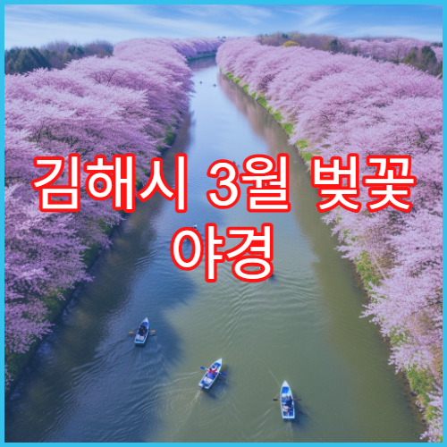 김해시 3월 벚꽃 야경 조용히 보기 좋은 포인트 3곳