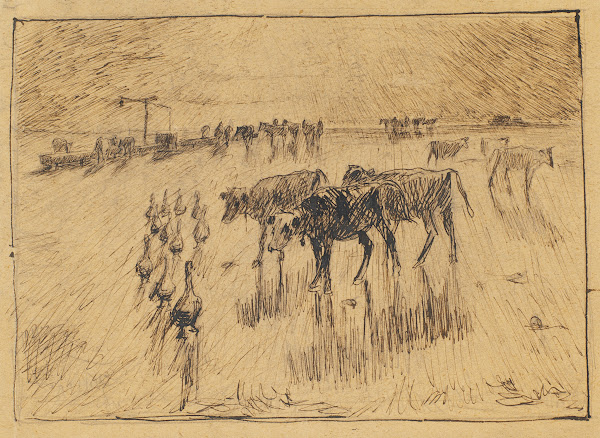 Med solen i øjnene Hollænderbrønden på Saltholmen sen eftermiddag 1886
