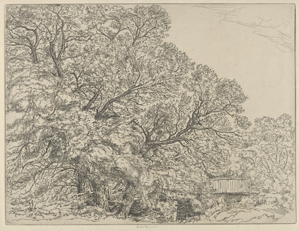 Alna Willows 1924
