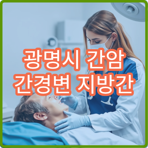 광명시 간암 간경변 지방간 간담도내과 초음파 AFP종양표지자 병원