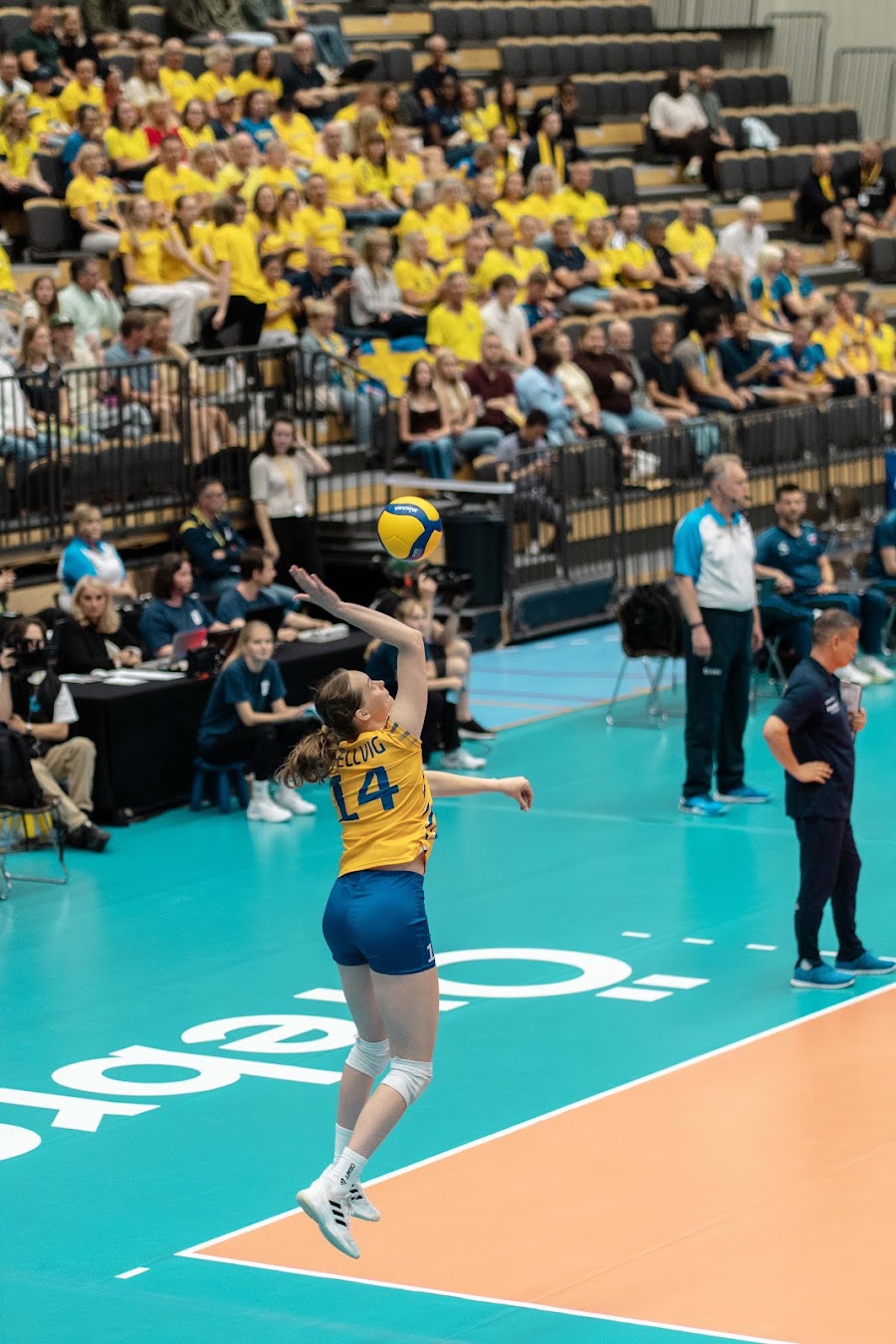 Sweden Slovenia 246