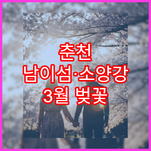 춘천 남이섬·소양강 3월 벚꽃 드라이브 코스