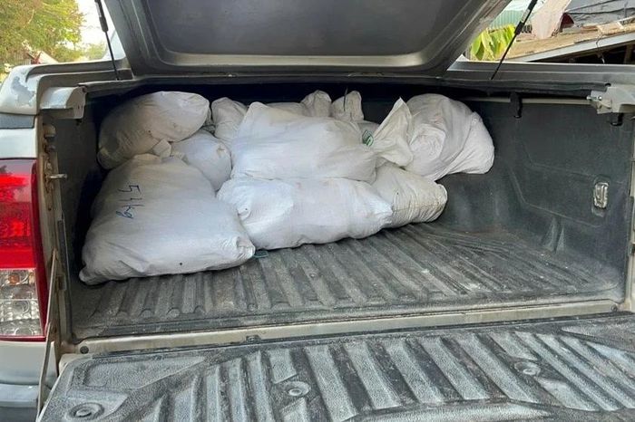 Phát hiện gần 300kg gà chết bốc mùi chuẩn bị tiêu thụ - Chuyên trang An Ninh Thủ Đô - Báo Công an nhân dân