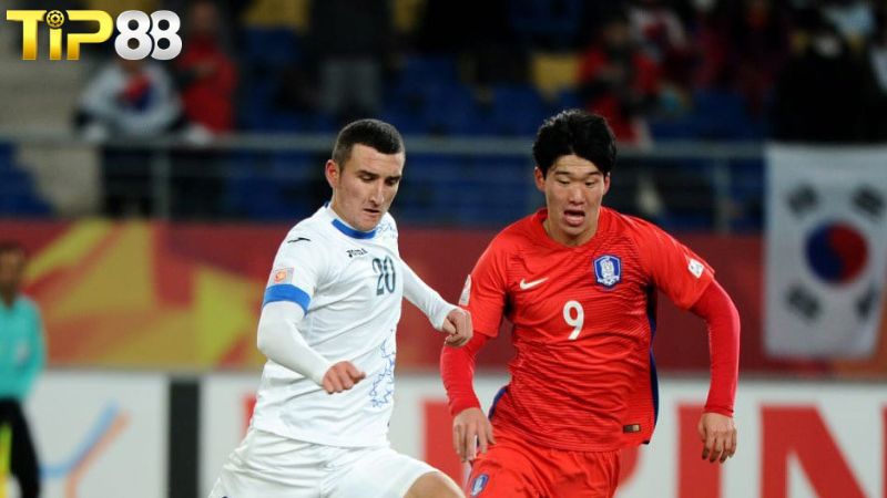 Phong độ gần đây của U23 Uzbekistan vs U23 Hàn Quốc