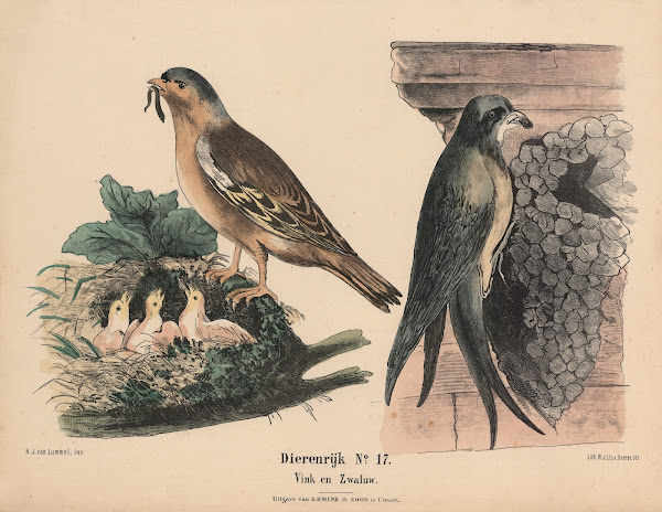 Vink en Zwaluw 1841