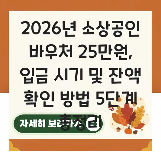 소상공인 경영안정바우처 지원금 입금 시기 및 잔액 확인 방법 대표 이미지