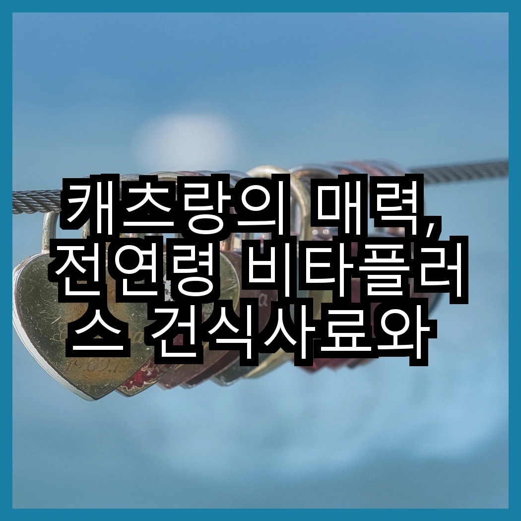 캐츠랑의 매력, 전연령 비타플러스 건식사료와 NEW 건식사료는 어떻게 다를까? 썸네일