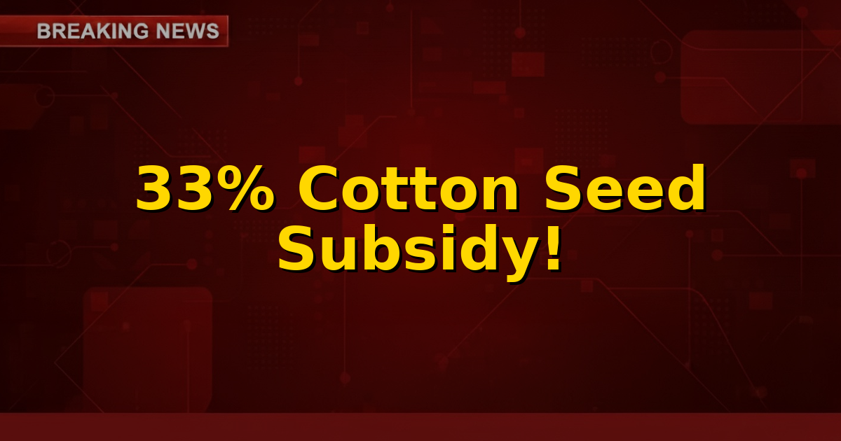 A farmer examining cotton plants in a field with a stylized graphic representing a 33% subsidy