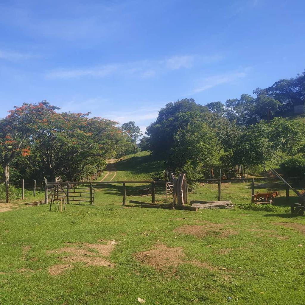Fazenda no Município de Pirenópolis - GO 4