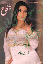 Shuaa Digest December 2011 Download PDF