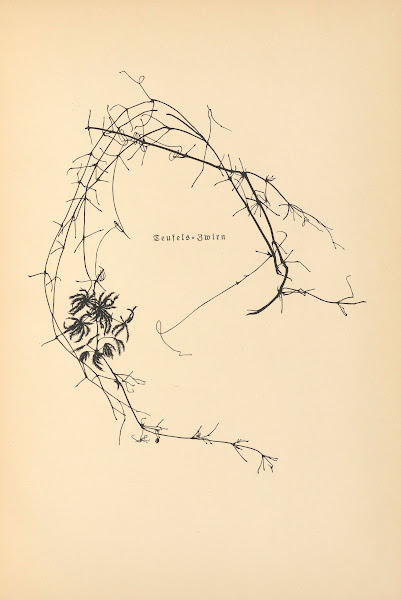 Vertrauen Pl05 1933