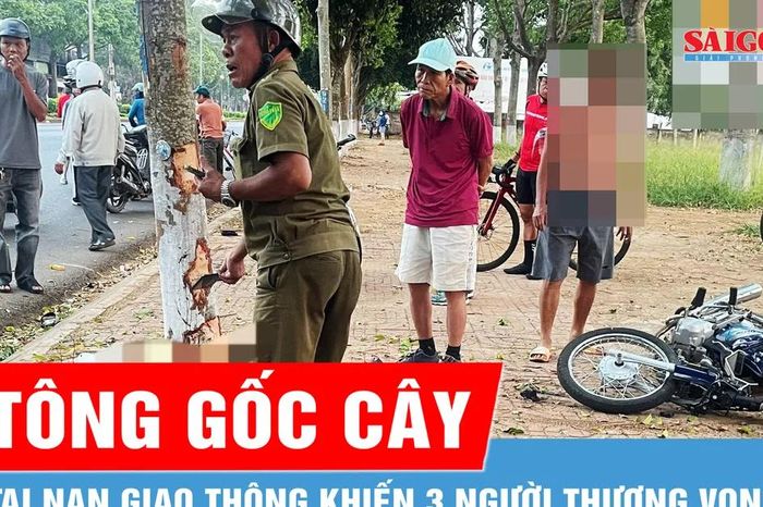 Đắk Lắk: Xe máy chở 3 tông vào gốc cây, 2 người tử vong - Báo Sài Gòn Giải Phóng